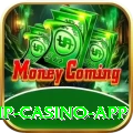 Star Game VIP Casino App